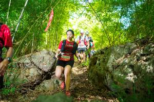 BIB: 602244
                            <button type="button" onclick="openModal(22088873)" class="btn btn-primary btn-sm float-right btn-popup" data-toggle="modal" data-target=".modal-high-quality">
                        <i class="fas fa-shopping-cart"></i> Add to Cart
                    </button>
                                            <button type="button" onclick="isThisMe(22088873, true)" class="btn btn-success btn-sm float-right btn-popup btn-isme hidden" data-toggle="tooltip" data-placement="bottom" title="นี่คือรูปของคุณใช่ไหม คลิกที่นี่เพื่อเอาเข้าอัลบั้ม">
                        <i class="fas fa-plus"></i> Add to album
                    </button>
                    <button type="button" onclick="isThisMe(22088873, false)" class="btn btn-warning btn-sm float-right btn-popup btn-isnotme hidden">
                        <i class="fas fa-ban"></i> Remove from album
                    </button>